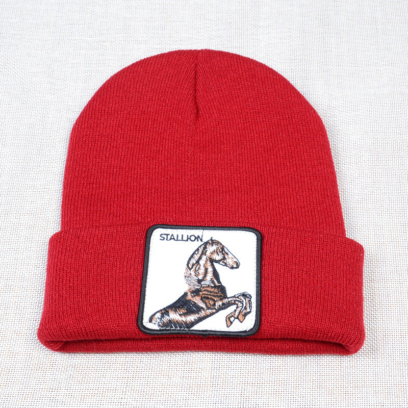 Casual Women's Embroidered Knitted Hat Pullover Hat