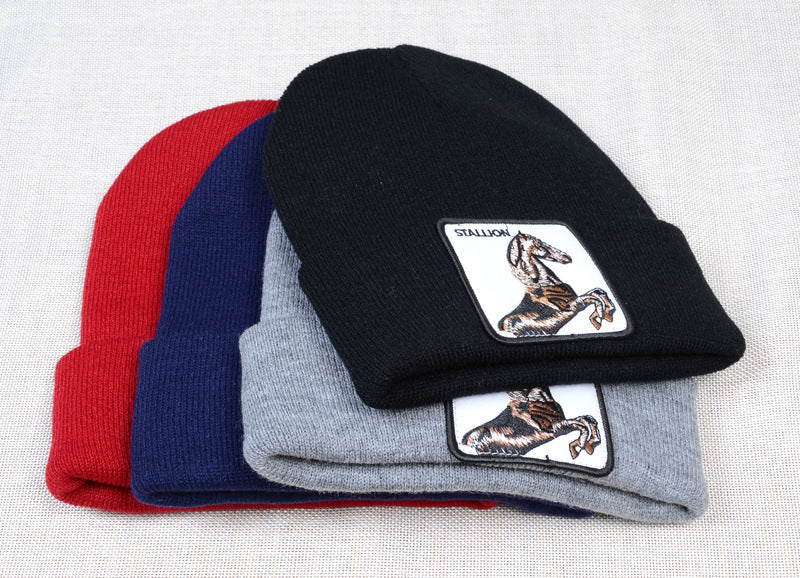 Casual Women's Embroidered Knitted Hat Pullover Hat