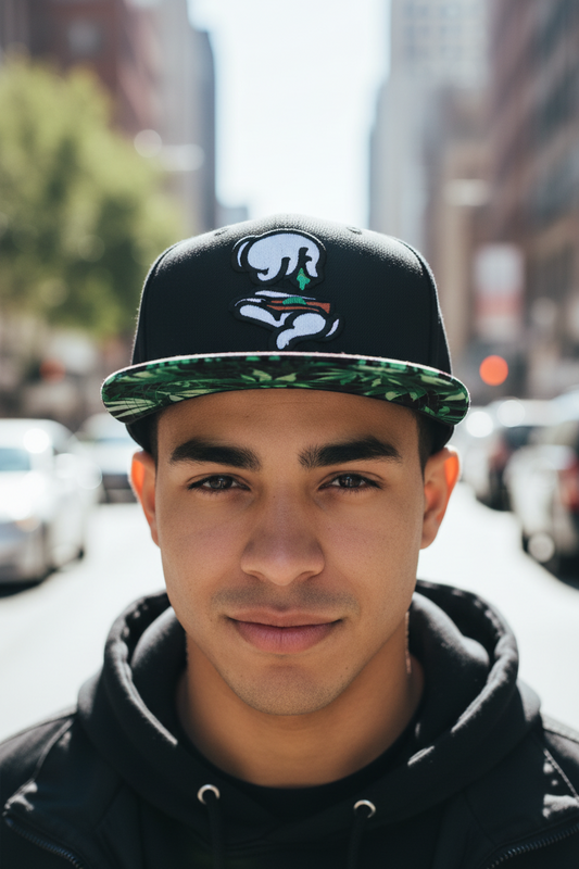 TheCapSpot - Starks Baseball Cap