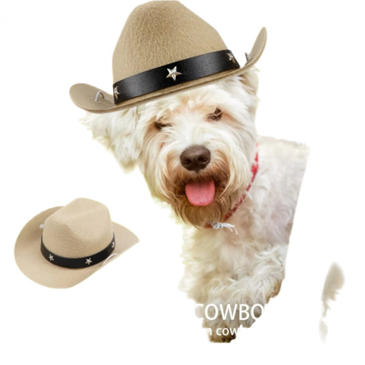 TheCapSpot -Dog Cowboy Hat