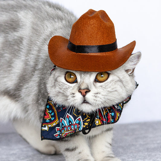 TheCapSpot - Pet Cat Western Straw Cowboy Hat