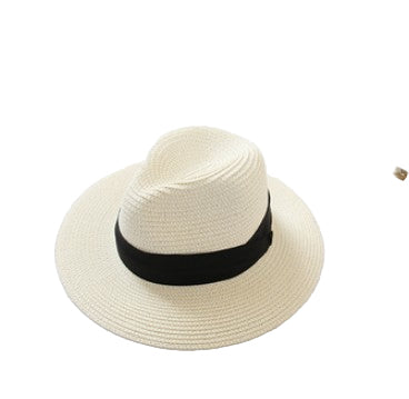 TheCapSpot - Winston Straw Hat