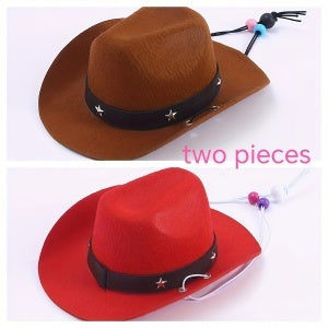 TheCapSpot -Dog Cowboy Hat