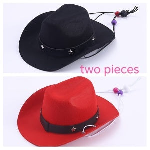 TheCapSpot -Dog Cowboy Hat